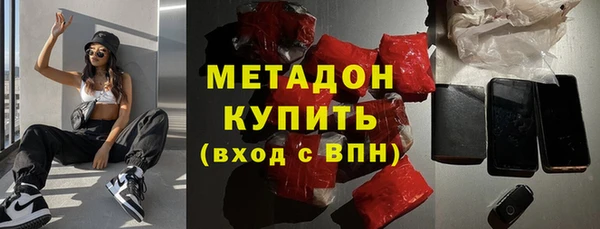 прущие грибы Абаза