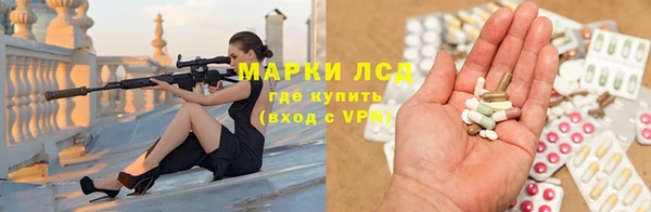 spice Алзамай