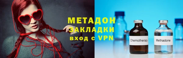 прущие грибы Абаза