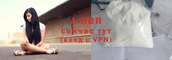 гидра Переславль-Залесский