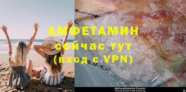 прущие грибы Абаза
