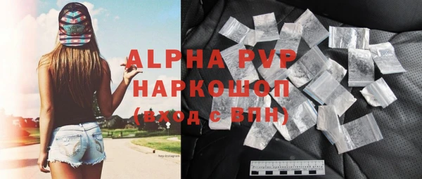 прущие грибы Абаза