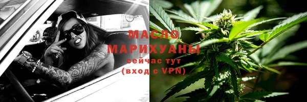 прущие грибы Абаза